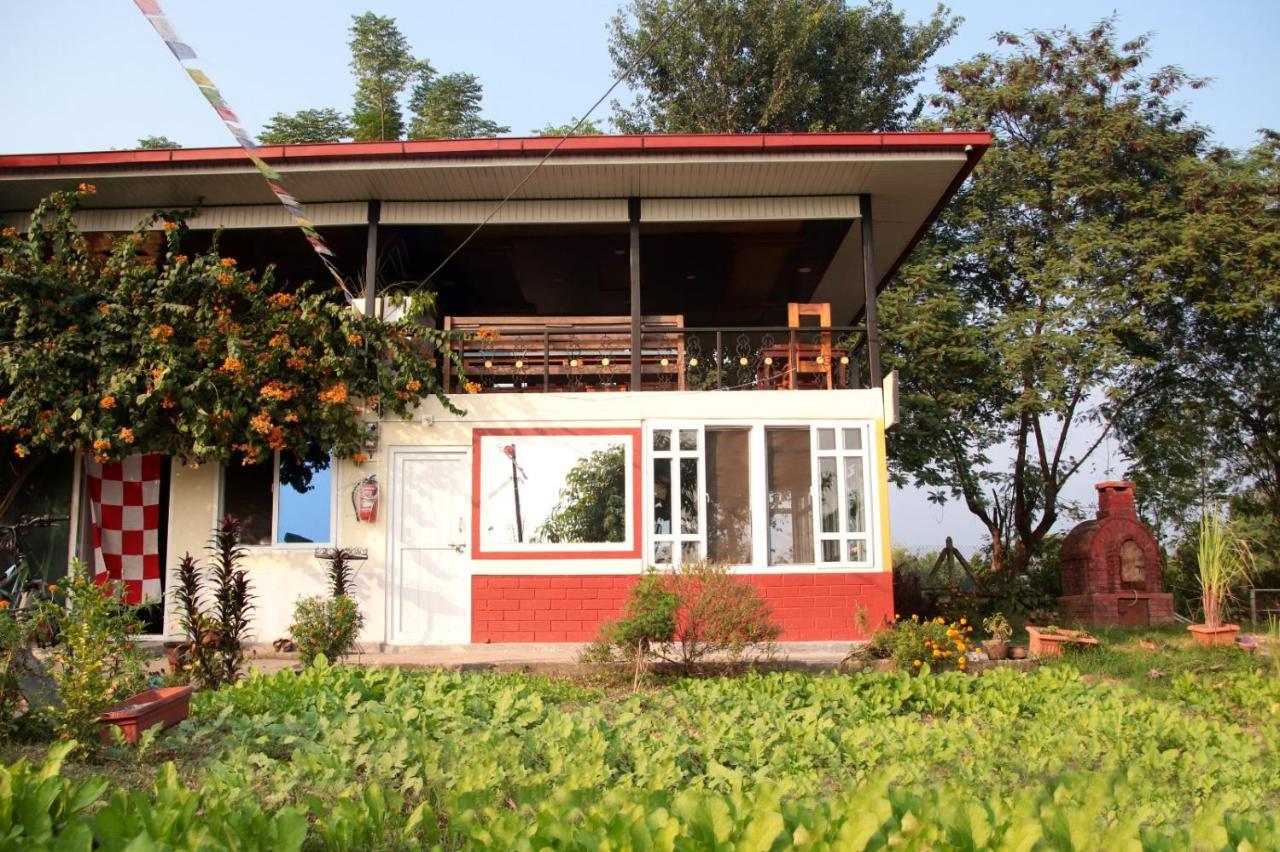 The Glasshouse Hotel Kawasoti Екстериор снимка
